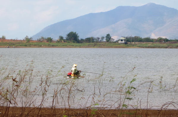 Phân xưởng nhuộm của Công ty Mei Sheng Việt Nam không được phép hoạt động nhưng vẫn tồn tại suốt 7 năm qua, xả thải trực tiếp ra hồ chứa nước Đá Đen, cung cấp nước sinh hoạt cho 90% dân số tỉnh Bà Rịa – Vũng Tàu.