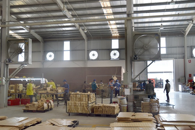 Phương Linh cung cấp các dòng quạt làm mát cho nhà xưởng